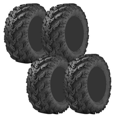 set-interco-reptile.jpg